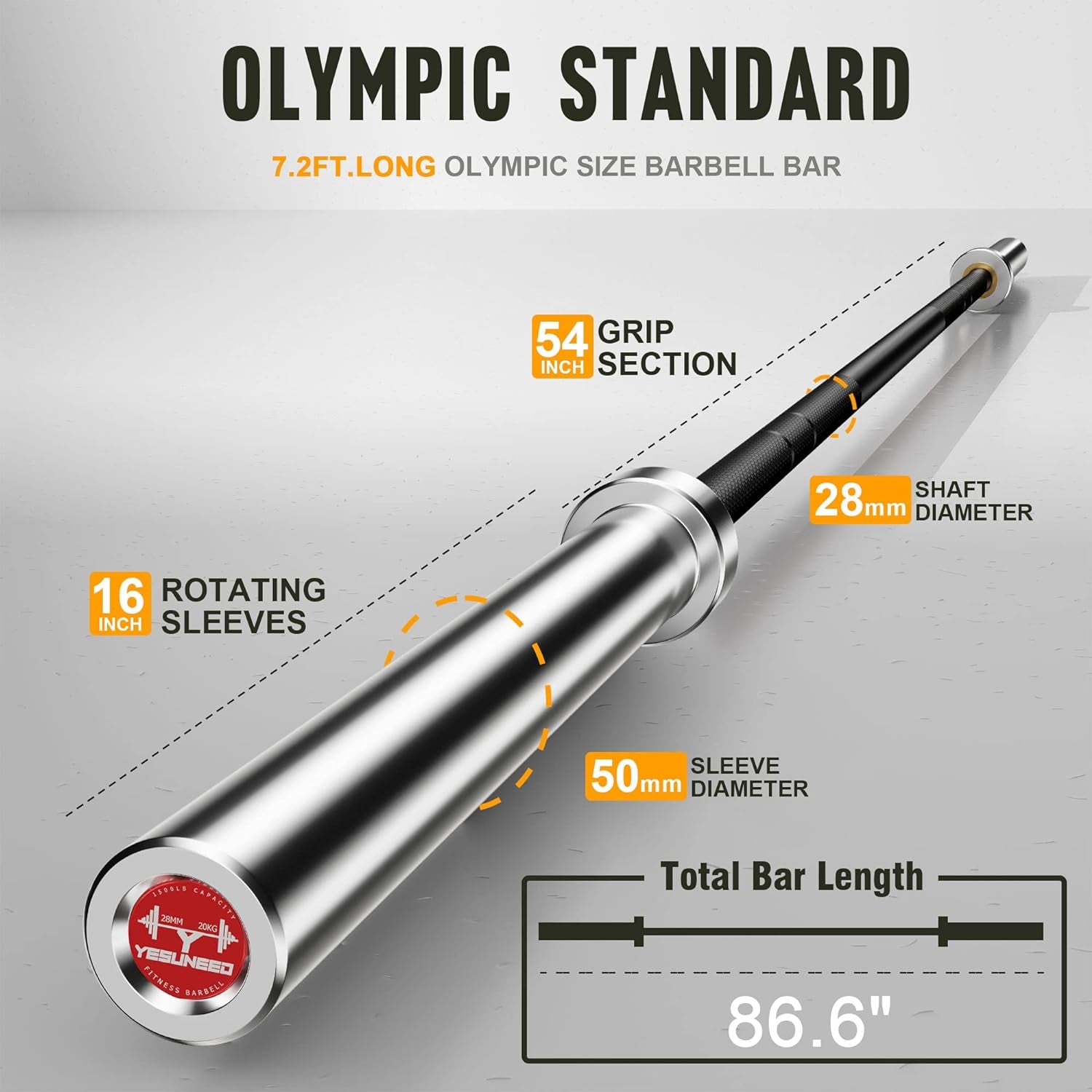 Olympic EZ Curl Barbell - Available in 330LB, 700LB, 1000LB, and 1500LB for Bicep Curls, Squats, and Weightlifting
