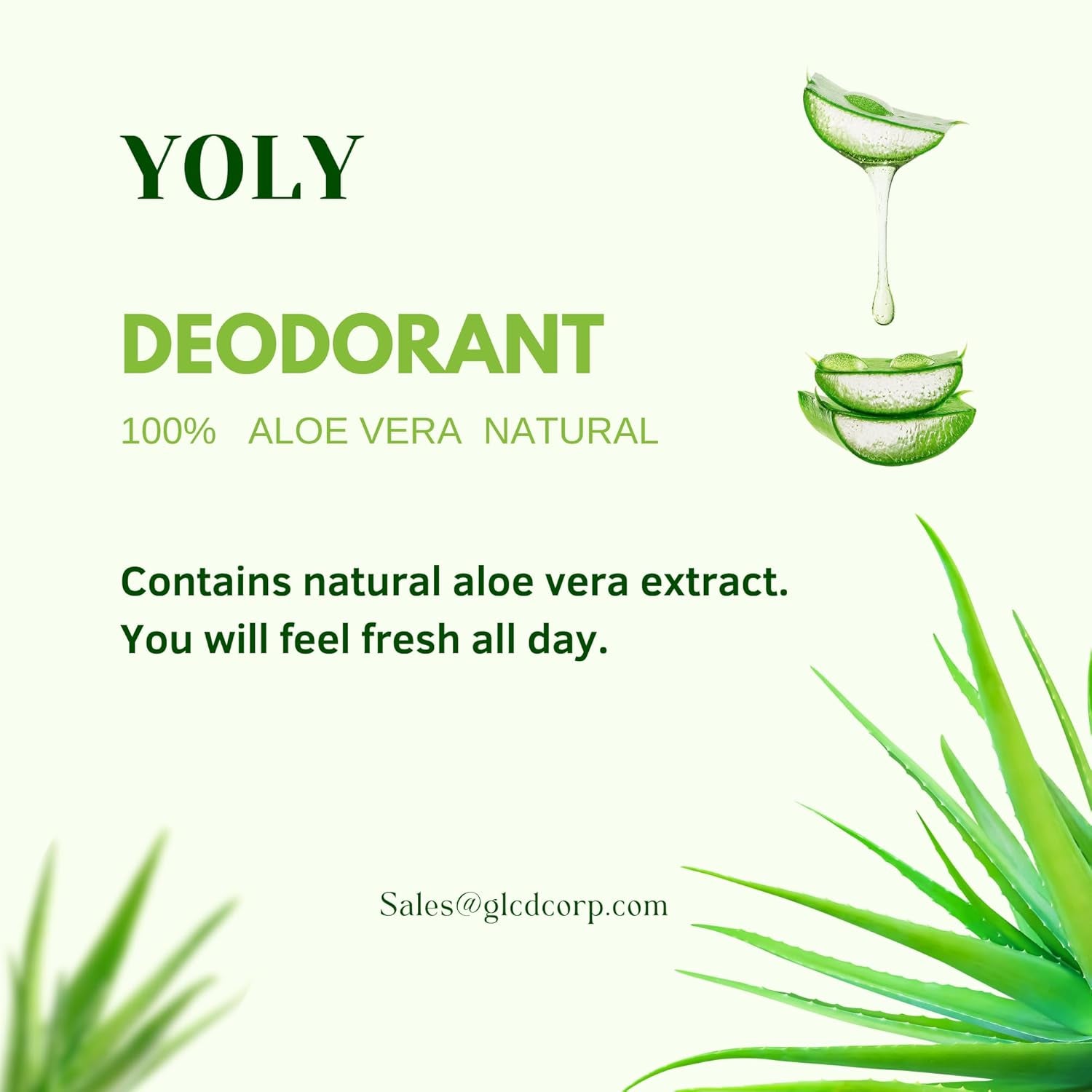 Deoderant Aloe Vera Antiperspirant, Odor Protection, All Day Fresh (2.53 Fl Oz/Pack of 1)